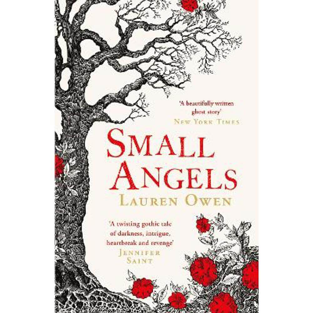 Small Angels: 'A twisting gothic tale of darkness, intrigue, heartbreak and revenge' Jennifer Saint (Paperback) - Lauren Owen